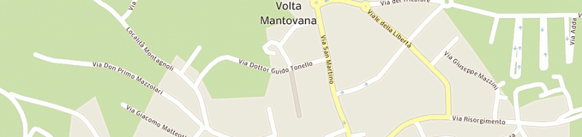 Mappa della impresa trans voltese express (snc) a VOLTA MANTOVANA