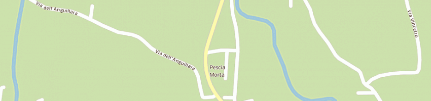 Mappa della impresa ingrosso fiori iavarone di tummolillo giuseppina a PESCIA