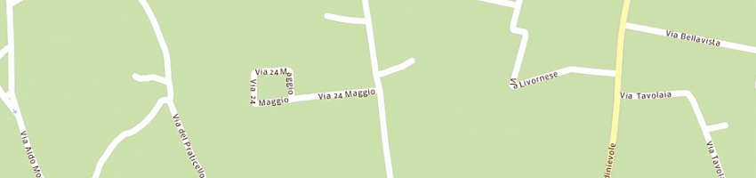 Mappa della impresa panattoni luigi a BUGGIANO