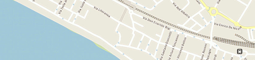 Mappa della impresa il delfino srl a FOLLONICA