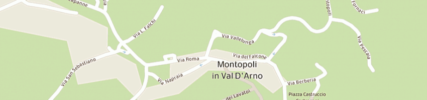 Mappa della impresa agnesi antonio a MONTOPOLI IN VAL D ARNO