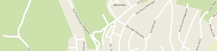 Mappa della impresa nuova roger carta srl a MASSA E COZZILE