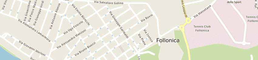 Mappa della impresa vicisano francesco a FOLLONICA