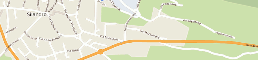 Mappa della impresa zimmerei gruber josef e c ohg snc a SILANDRO