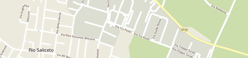 Mappa della impresa rio gomme a RIO SALICETO