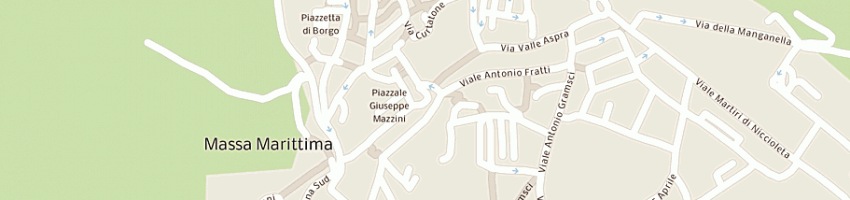 Mappa della impresa bertolai massimiliano a MASSA MARITTIMA