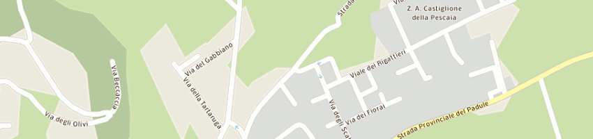 Mappa della impresa bar maid di fancello francesca e c sas a CASTIGLIONE DELLA PESCAIA