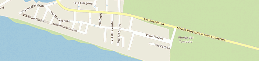 Mappa della impresa veri antonio a CASTIGLIONE DELLA PESCAIA