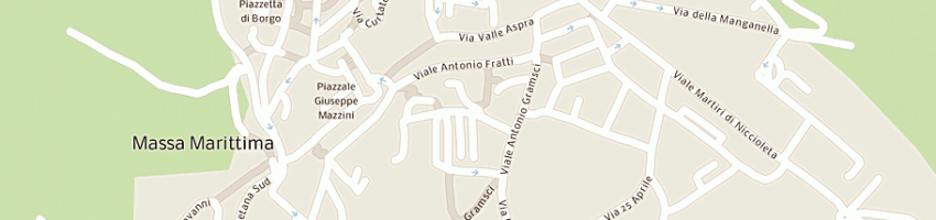 Mappa della impresa affittacamere villa pegaso a MASSA MARITTIMA
