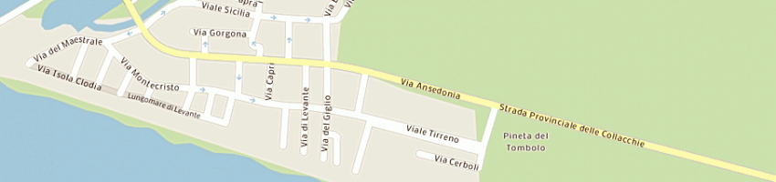 Mappa della impresa iavarone aldo a CASTIGLIONE DELLA PESCAIA