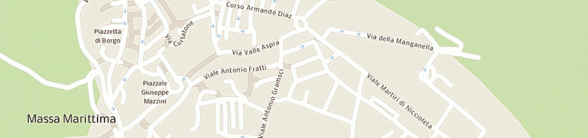 Mappa della impresa spinelli a MASSA MARITTIMA