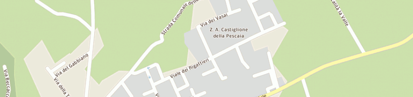 Mappa della impresa bonarini alessandro a CASTIGLIONE DELLA PESCAIA