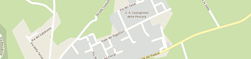 Mappa della impresa societa' pamag di ricci e stella e c snc a CASTIGLIONE DELLA PESCAIA
