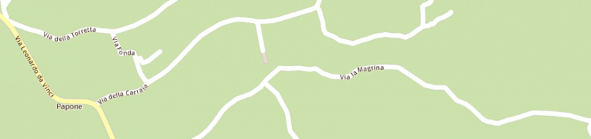Mappa della impresa torrigiani rino a VINCI