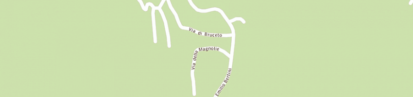 Mappa della impresa borrelli giulio a VAIANO