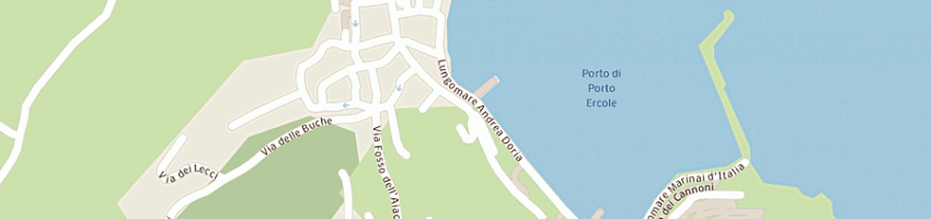 Mappa della impresa ageass sas a MONTE ARGENTARIO