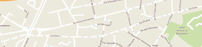Mappa della impresa studio brazzini a FIRENZE