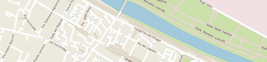 Mappa della impresa martigli bruno a FIRENZE