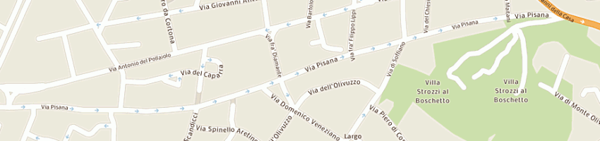 Mappa della impresa picchi fernando a FIRENZE