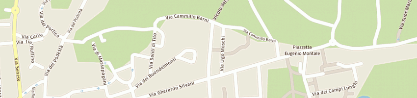Mappa della impresa fedini mauro a FIRENZE
