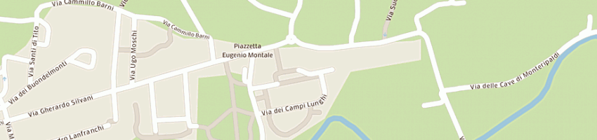 Mappa della impresa piazzini alessio a FIRENZE