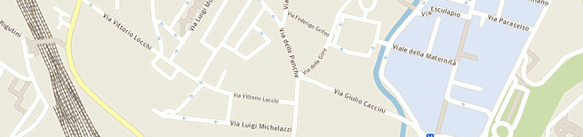Mappa della impresa medlight srl a FIRENZE