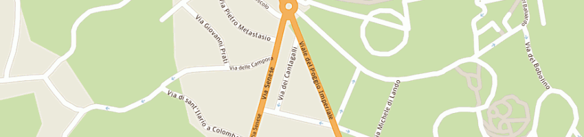Mappa della impresa ambulatorio veterinaio porta romana a FIRENZE