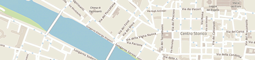 Mappa della impresa berti adriana a FIRENZE