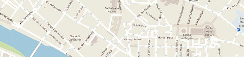 Mappa della impresa tassinari c a FIRENZE