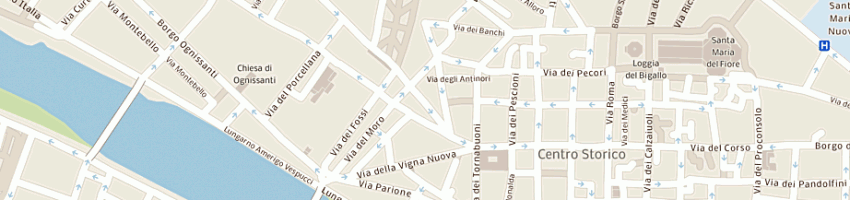 Mappa della impresa piantini enzo a FIRENZE