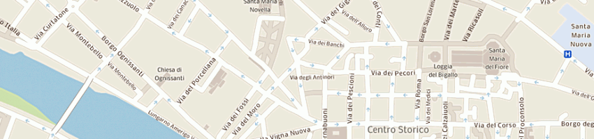 Mappa della impresa biagiotti caterina diana a FIRENZE