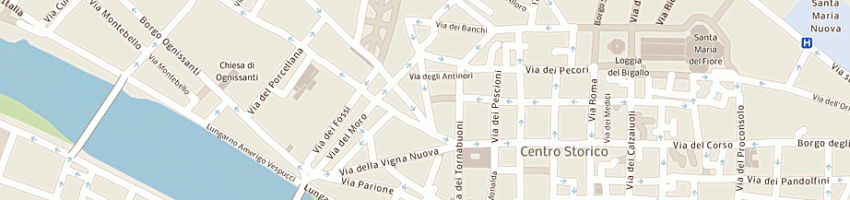 Mappa della impresa ciardi mario a FIRENZE