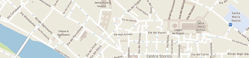 Mappa della impresa agenzia servizi immobiliari sas di bagnoli giuliano e c a FIRENZE