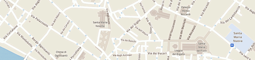 Mappa della impresa segreta malizia di meucci silvia a FIRENZE