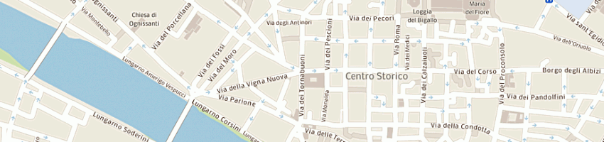 Mappa della impresa mane' srl a FIRENZE