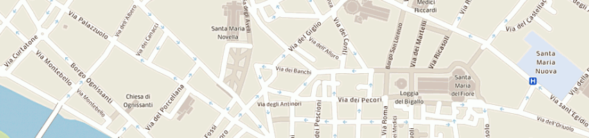 Mappa della impresa albergo albro palace srl a FIRENZE