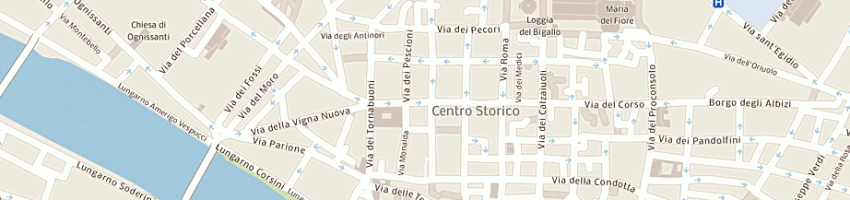 Mappa della impresa barducci bardo e figlio spa a FIRENZE