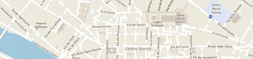 Mappa della impresa mannucci duccio a FIRENZE
