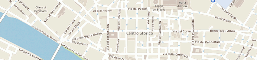 Mappa della impresa dgs spa a FIRENZE
