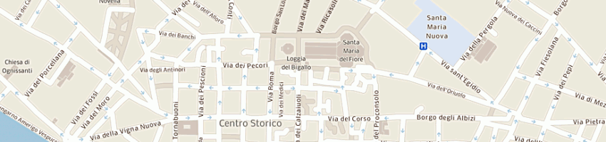 Mappa della impresa safla snc di flavio martello e c a FIRENZE