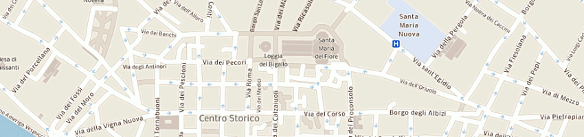 Mappa della impresa duomo cattedrale di smaria del fiore a FIRENZE
