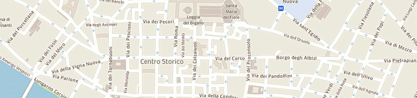 Mappa della impresa puliti a FIRENZE
