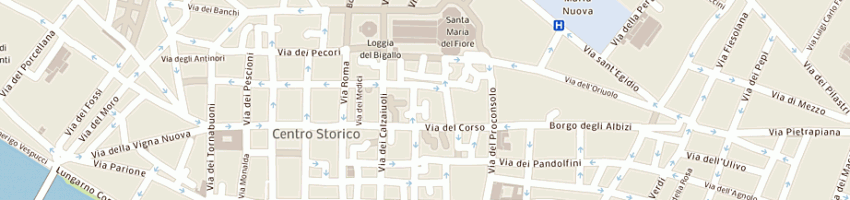 Mappa della impresa accademia economico agraria dei georgofi a FIRENZE