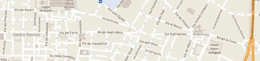 Mappa della impresa l'antico noe' di torelli massimo e c sas a FIRENZE