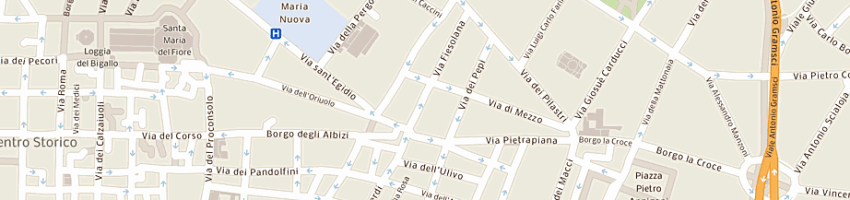 Mappa della impresa ricciardi vetulio a FIRENZE
