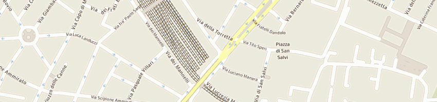 Mappa della impresa panter srl a FIRENZE