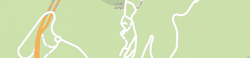 Mappa della impresa casangeli rosanna a CIVITELLA PAGANICO