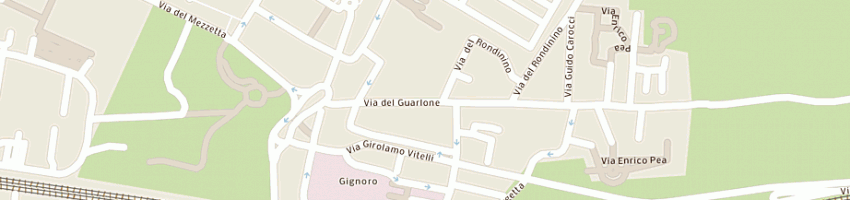 Mappa della impresa gaia informatica srl a FIRENZE
