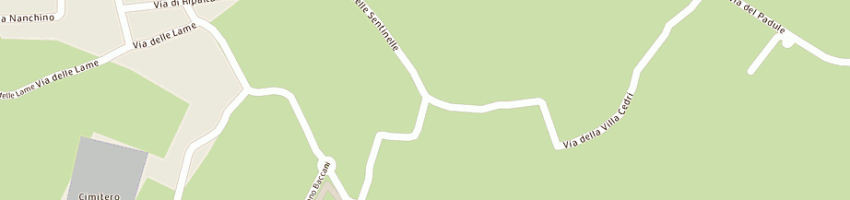 Mappa della impresa l'uliveto centro residenziale anziani a FIRENZE