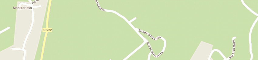 Mappa della impresa camaiani cesare e figli a SIENA